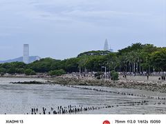 -深圳湾公园(南山区)