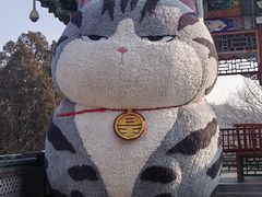 -八大处公园