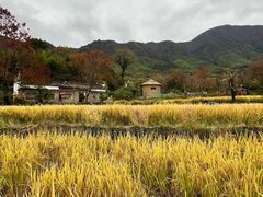 -塔川景区