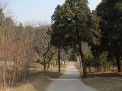 -四门塔风景区