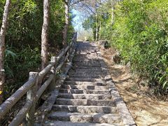 -玉苍山国家森林公园