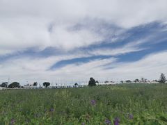 -苏泊罕大草原旅游景区