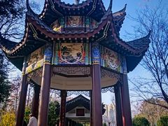 -青龙山国家森林公园