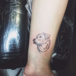 动物-JOKER TATTOO STUDIO乔克纹身