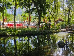 -成都市活水公园