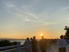 -宝安西湾红树林湿地公园