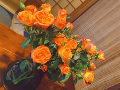 -松子日式料理(东朝阳路店)