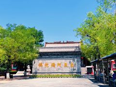 -大槐树寻根祭祖园