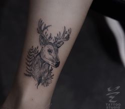 -见雾TATTOO STUDIO