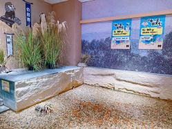 -造物庄园 萌宠纪(苏州湾歌林公园店)