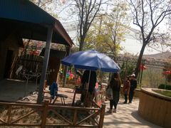 -石家庄市动物园