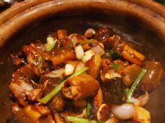 -大榕树下顺德菜(融创茂店)