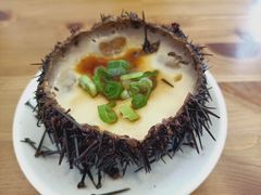 -海胆小馆(东北水饺·春柳店)