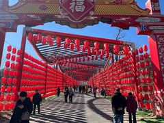 -北京凤凰岭