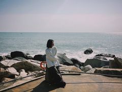 -广东惠东海龟国家级自然保护区