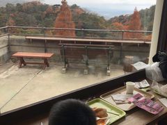 -神户市立六甲山牧场