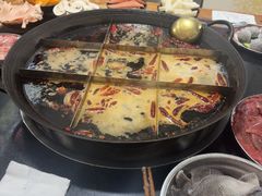 -肥龙火锅(南坪店)