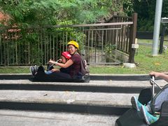 -圣淘沙天际线斜坡滑车