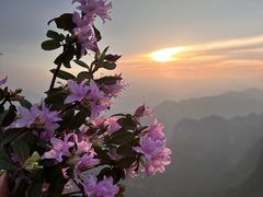 -大山包景区售票处