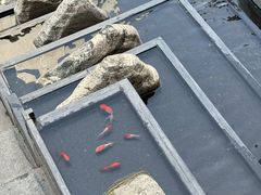 -ONE FULL 古董港式海鲜火锅