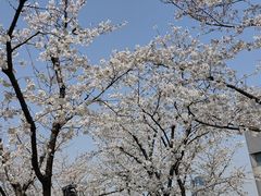 -龙美术馆(西岸馆)
