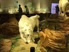 -陕西自然博物馆