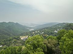 -城外有星光桥舍(南山店)