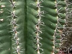 -南通洲际绿博园