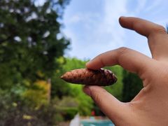 -四门塔风景区