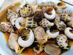 -红灯笼龙凤饭店(宁波老字号店)