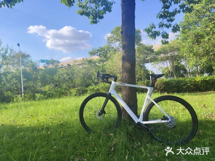 JAVA佳沃自行车(浦东旗舰店)图片