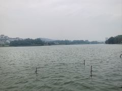 -白云湖畔酒店-湖畔餐厅