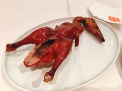 -东富酒家(龙湖西溪天街店)