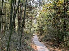 -塔川景区