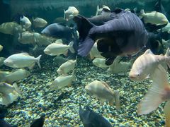 -成都浩海立方海洋公园