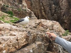 -海驴岛(荣成市)