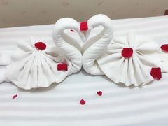 -BLACKSWAN黑天鹅(环球店)