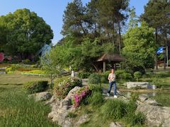 -铁山坪森林公园