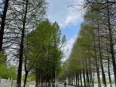-石湖景区
