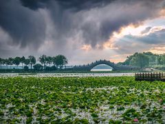 -天津东丽湖风景区