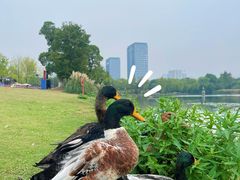 -武汉园博园(武汉自然博物馆)