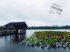 -溱湖国家湿地公园