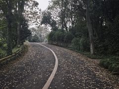 -宁波野生动物园