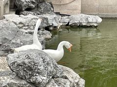 -祝家花園(伯渎港店)