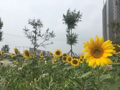 -沈阳南站
