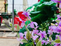 -王钵宴遇王龙虾烧烤旗舰店(中山北路店)