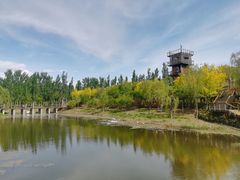 -东郊湿地公园