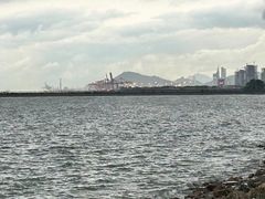 -宝安西湾红树林湿地公园