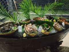 -亚龙湾希尔顿自助餐厅·海鲜·烧烤·沙滩BBQ·现场乐队