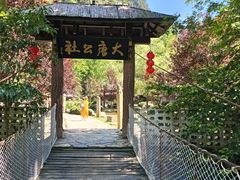 -后柳水乡